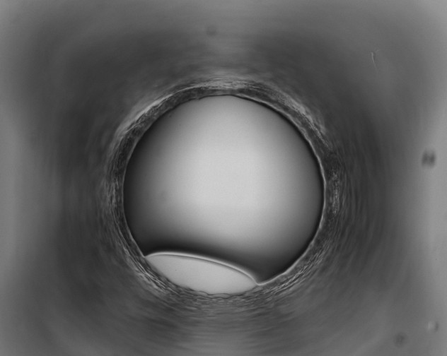 X0000100851448200806200751