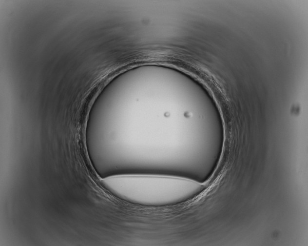 X0000100851449200806200751