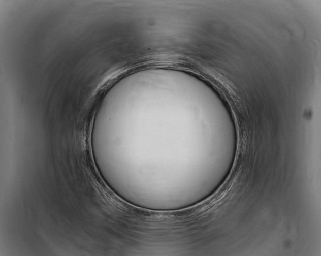 X0000100851451200806200751
