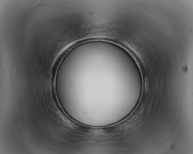 X0000100851452200806200751