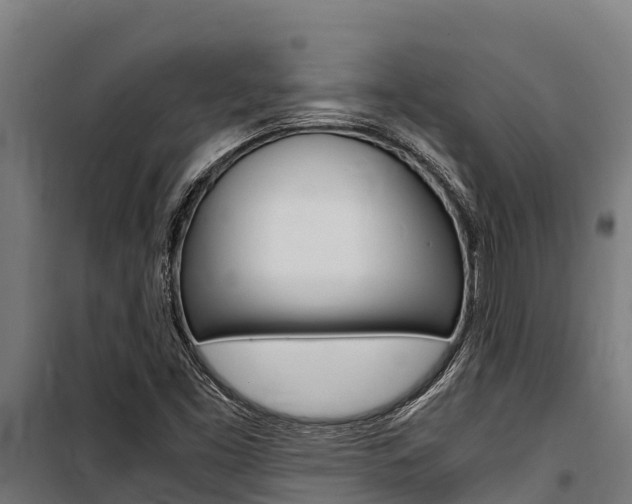 X0000100851453200806200750