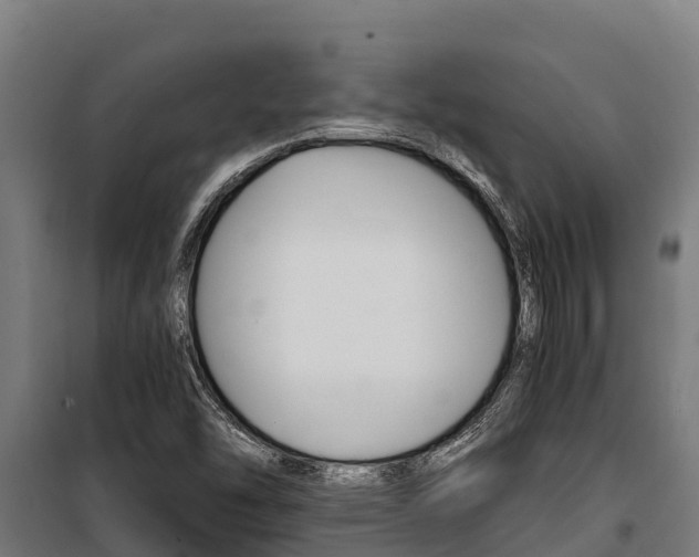 X0000100851454200806200750