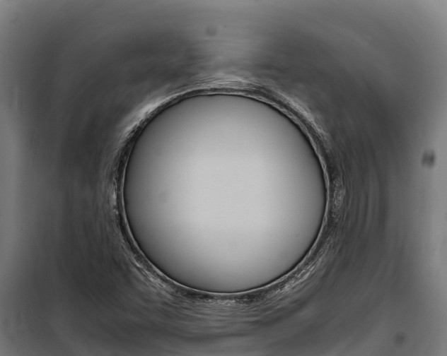 X0000100851455200806200750