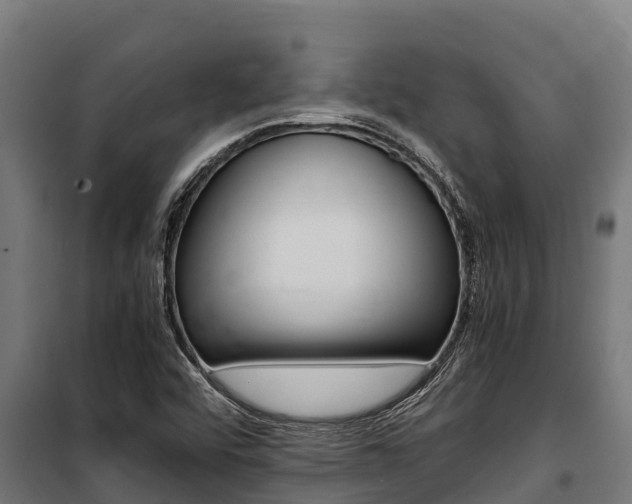 X0000100851456200806200750
