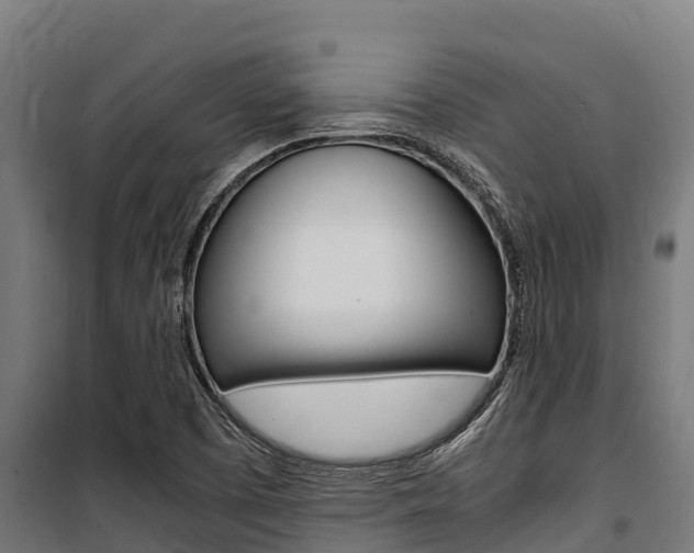 X0000100851457200806200750