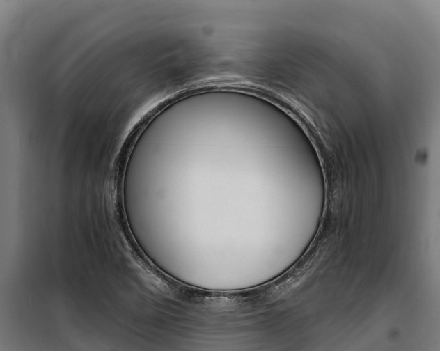 X0000100851458200806200750