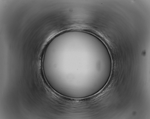 X0000100851459200806200750