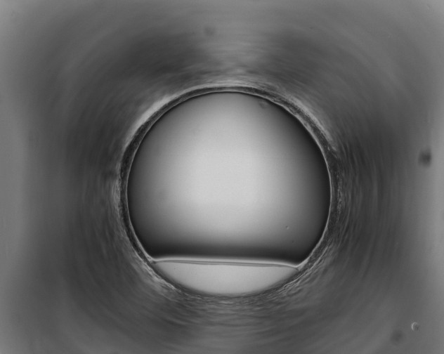 X0000100851460200806200750