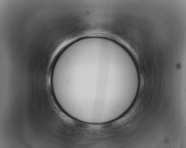 X0000100851462200806200750