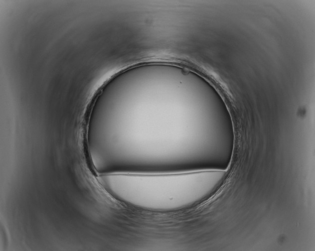 X0000100851463200806200750