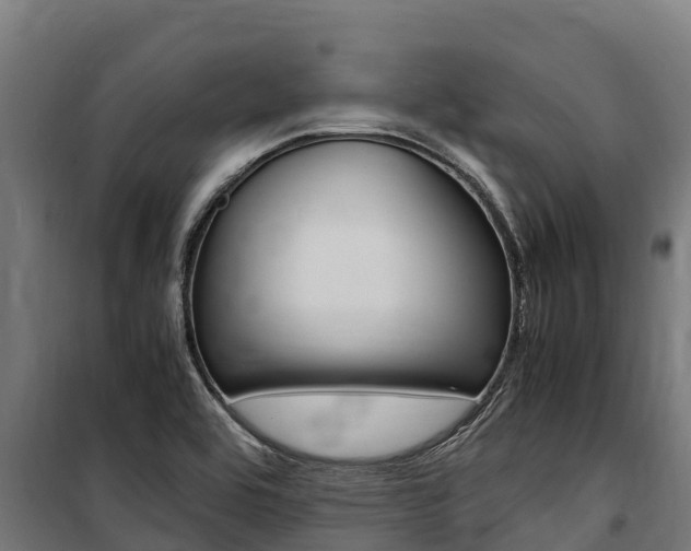 X0000100851464200806200750