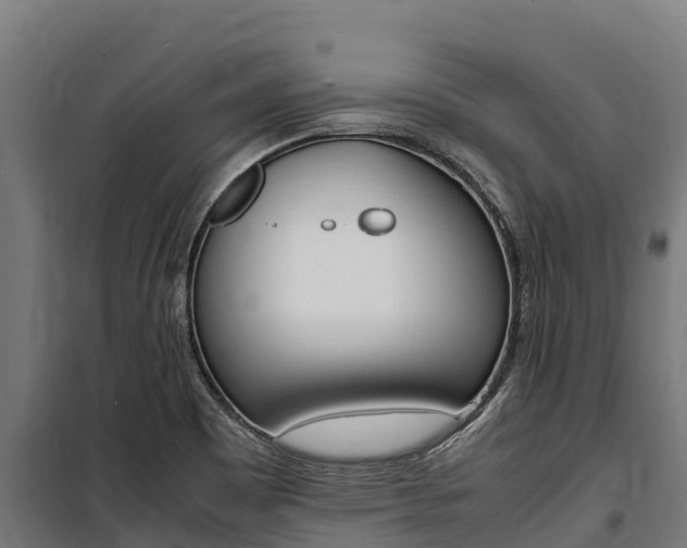 X0000100851465200806200750
