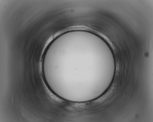 X0000100851466200806200750
