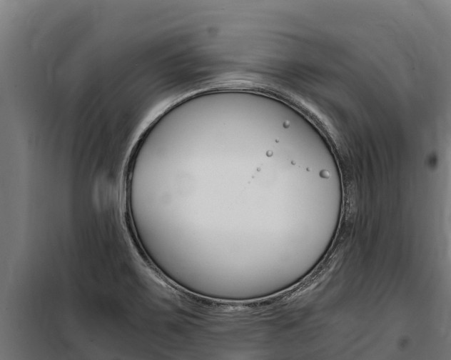 X0000100851467200806200750
