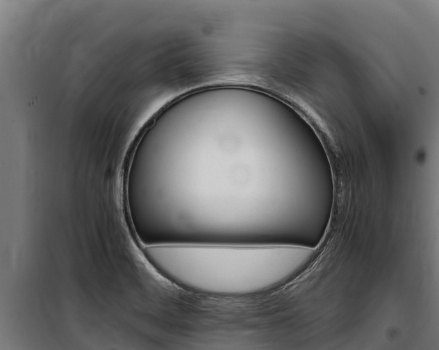 X0000100851468200806200750