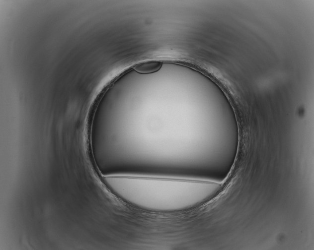 X0000100851469200806200750