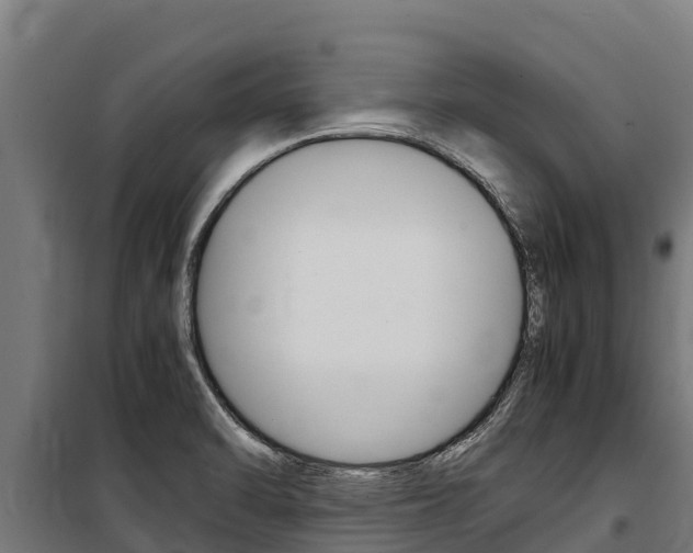X0000100851470200806200750