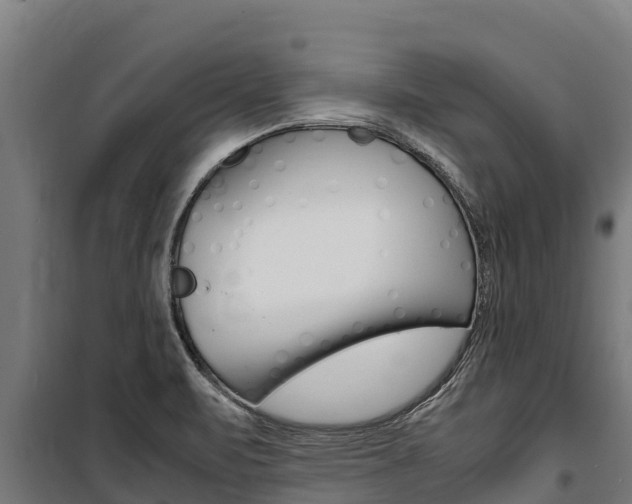 X0000100851471200806200750