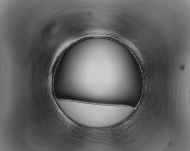 X0000100851472200806200750