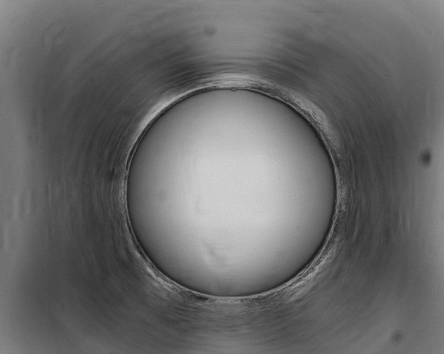 X0000100851473200806200750