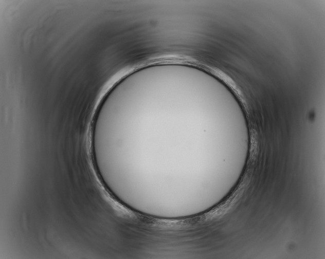 X0000100851474200806200750