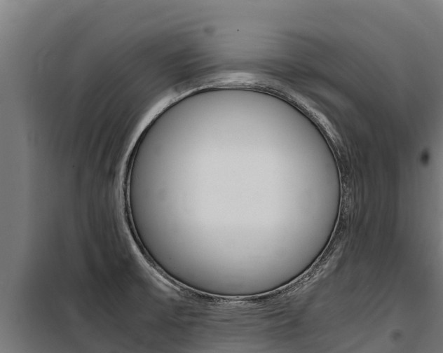 X0000100851475200806200750