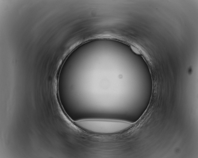 X0000100851476200806200750