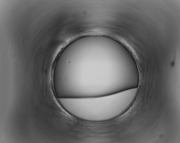 X0000100851477200806200750