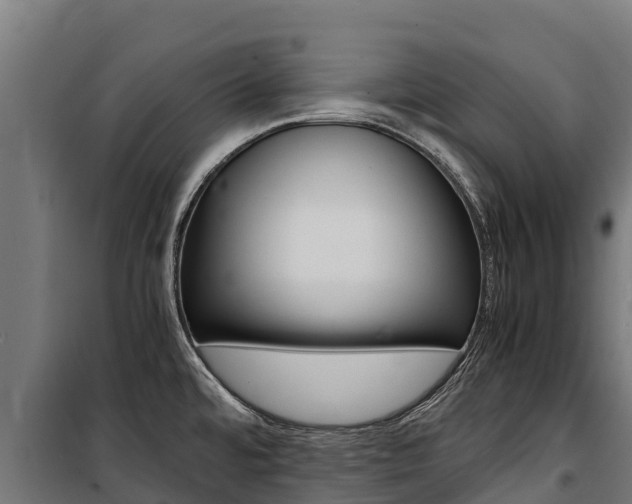 X0000100851480200806200750