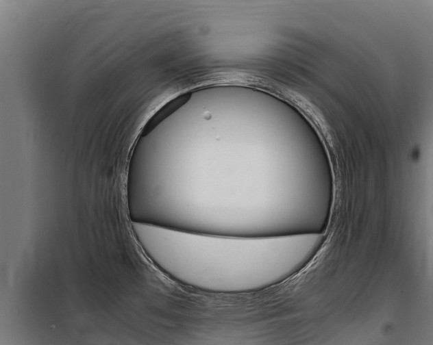 X0000100851481200806200750