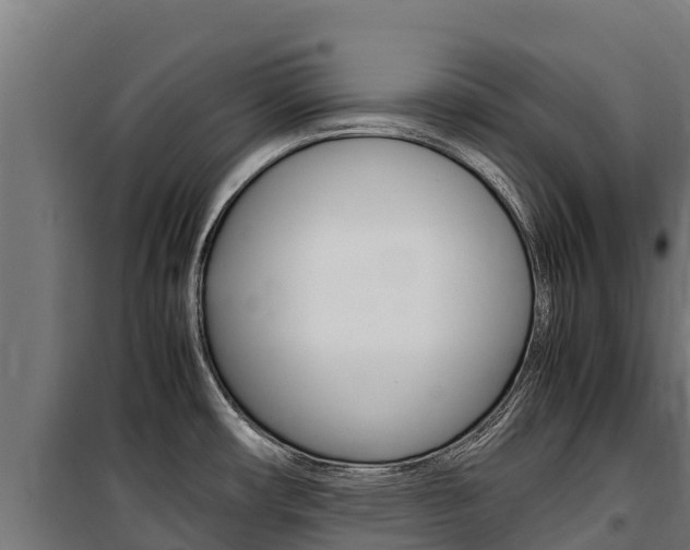 X0000100851482200806200750