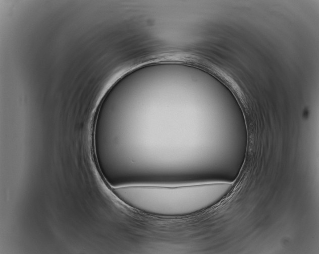 X0000100851483200806200750