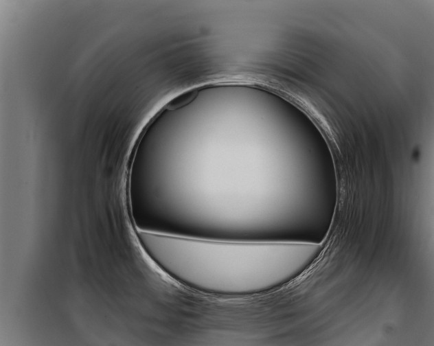 X0000100851484200806200750