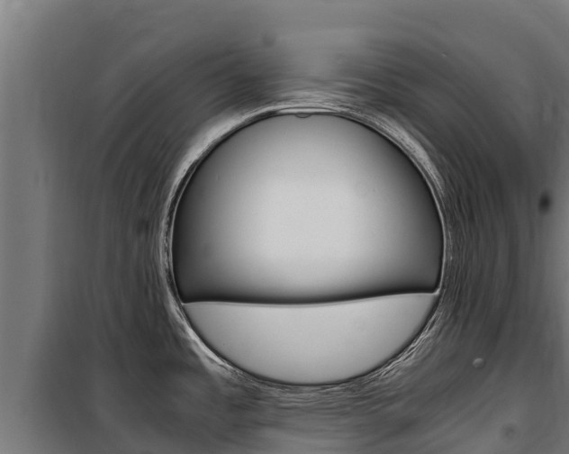 X0000100851485200806200750