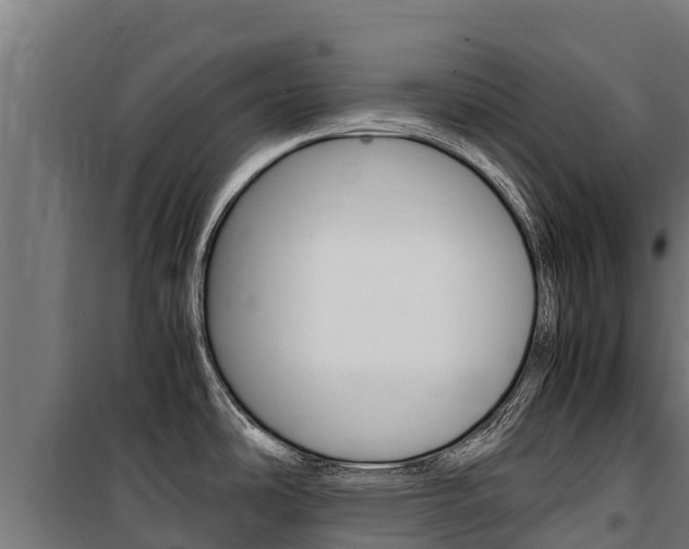 X0000100851486200806200750