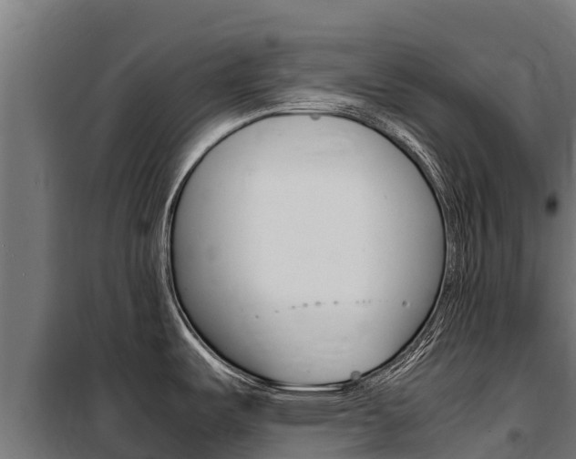 X0000100851487200806200750