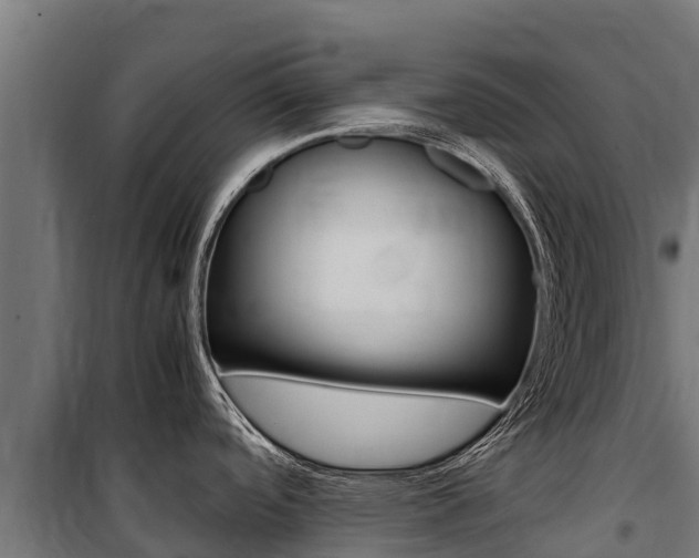 X0000100851488200806200750