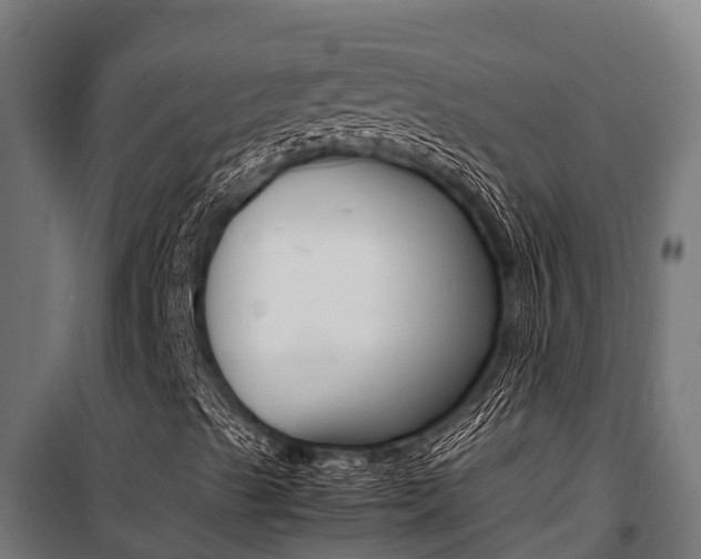 X0000100851489200806200749