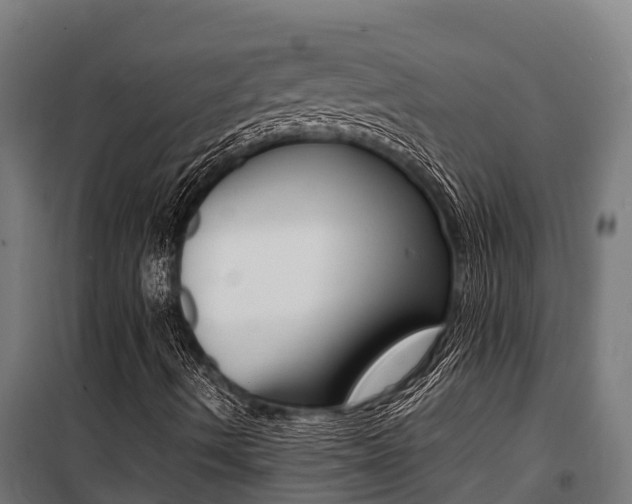 X0000100851490200806200749