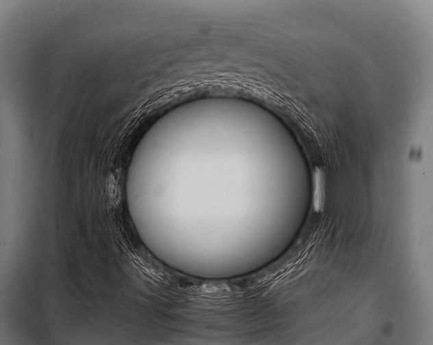 X0000100851491200806200749