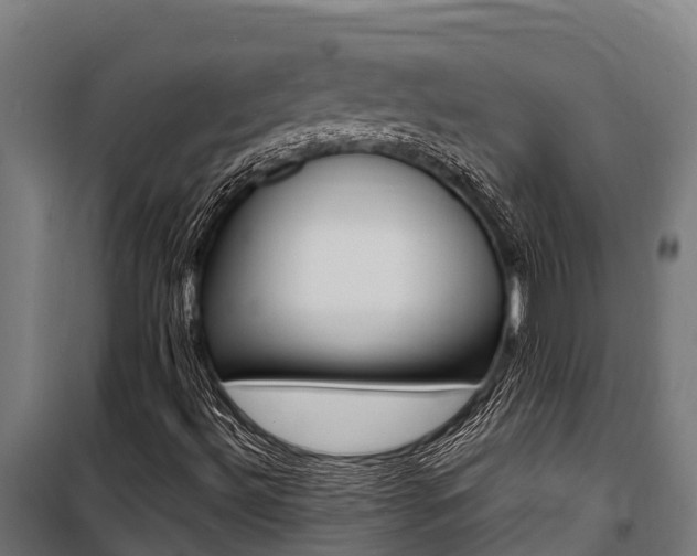 X0000100851492200806200749