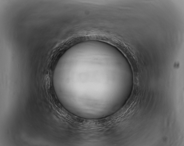 X0000100851493200806200749