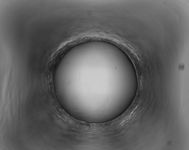 X0000100851494200806200749