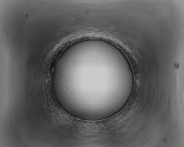 X0000100851495200806200749
