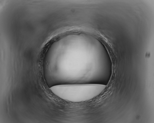 X0000100851496200806200749