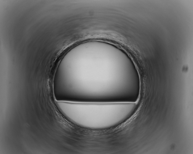 X0000100851497200806200749