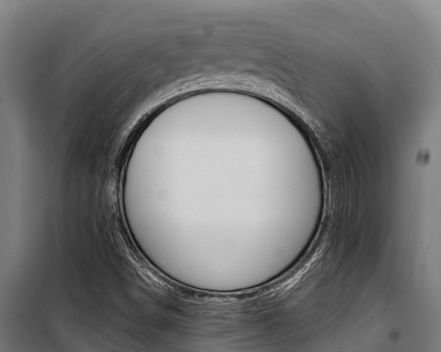 X0000100851498200806200749