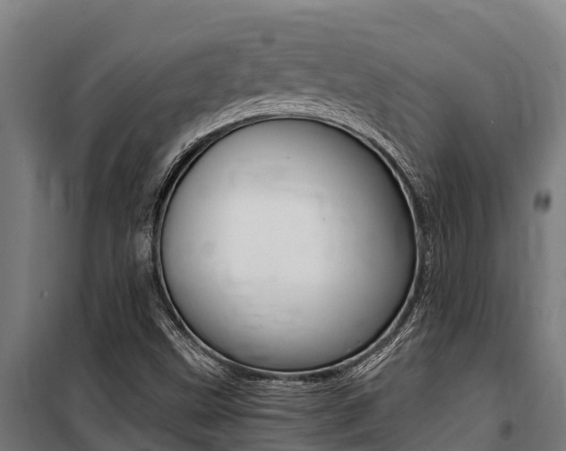 X0000100851499200806200749