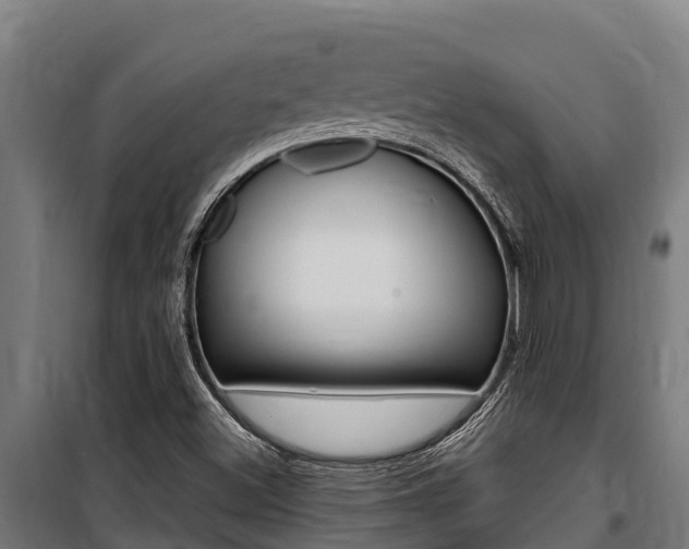 X0000100851500200806200749