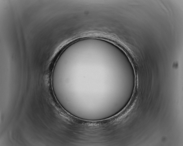 X0000100851501200806200749